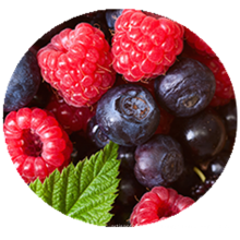IQF Fruits congelés Berries mélangées congelées